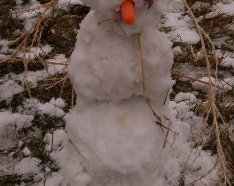 little snowman